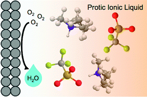 Graphical abstract: Kinetics and mechanism of oxygen reduction in a protic ionic liquid