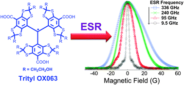 Graphical abstract: Electron spin resonance studies of trityl OX063 at a concentration optimal for DNP