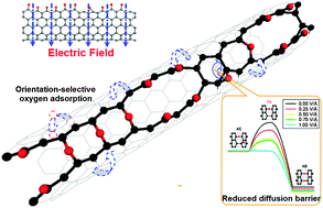 Graphical abstract: Electric field induced orientation-selective unzipping of zigzag carbon nanotubes upon oxidation
