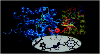 Graphical abstract: Electron transfer in proteins: theory, applications and future perspectives