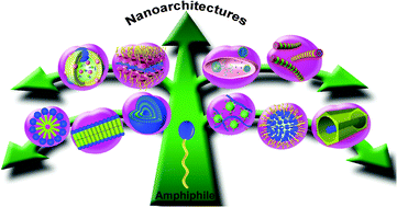 Graphical abstract: Amphiphile nanoarchitectonics: from basic physical chemistry to advanced applications