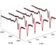 Graphical abstract: Cu(ii)–porphyrin molecular dynamics as seen in a novel EPR/Stochastic Liouville equation study