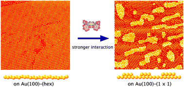 Graphical abstract: Stability and structural phase transitions of cobalt porphyrin adlayers on Au(100) surfaces