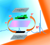 Graphical abstract: Miniaturized biological and electrochemical fuel cells: challenges and applications