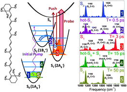 Graphical abstract: Mapping multidimensional excited state dynamics using pump-impulsive-vibrational-spectroscopy and pump-degenerate-four-wave-mixing