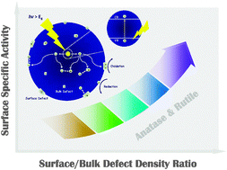 Graphical abstract: Understanding the effect of surface/bulk defects on the photocatalytic activity of TiO2: anatase versus rutile