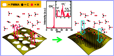 Graphical abstract: In situ observations of gas phase dynamics during graphene growth using solid-state carbon sources