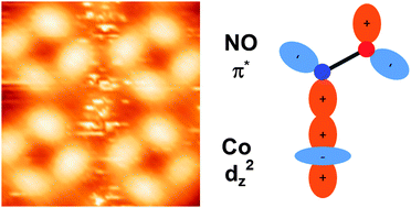 Graphical abstract: On-surface coordination chemistry: direct imaging of the conformational freedom of an axial ligand at room temperature