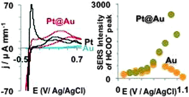 Graphical abstract: In situ surface-enhanced Raman spectroscopic study of formic acid electrooxidation on spontaneously deposited platinum on gold