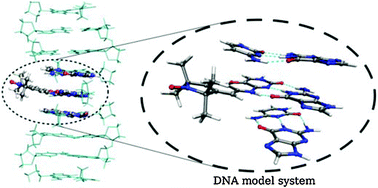Graphical abstract: π-Stacking effects on the EPR parameters of a prototypical DNA spin label