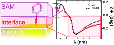 Graphical abstract: Spectroscopic ellipsometry of self assembled monolayers: interface effects. The case of phenyl selenide SAMs on gold