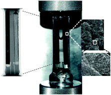 Graphical abstract: Neutron imaging of ion transport in mesoporous carbon materials