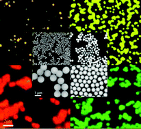 Graphical abstract: Semiconductor nanocrystals in sol–gel derived matrices