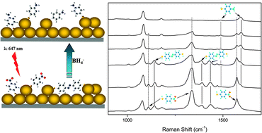 Graphical abstract: Observing reduction of 4-nitrobenzenthiol on gold nanoparticles in situ using surface-enhanced Raman spectroscopy