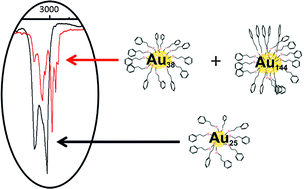 Graphical abstract: Infra-red spectroscopy of size selected Au25, Au38 and Au144 ligand protected gold clusters