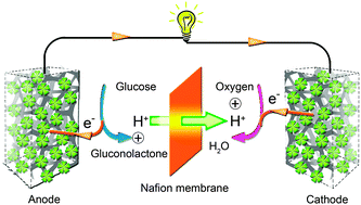 Graphical abstract: Enzymeless multi-sugar fuel cells with high power output based on 3D graphene–Co3O4 hybrid electrodes