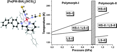 Graphical abstract: Synergy between polymorphism, pressure, spin-crossover and temperature in [Fe(PM-BiA)2(NCS)2]: a neutron powder diffraction investigation