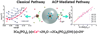 Graphical abstract: Faster nucleation at lower pH: amorphous phase mediated nucleation kinetics