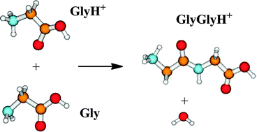 Graphical abstract: Computational study of peptide bond formation in the gas phase through ion–molecule reactions