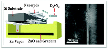 Graphical abstract: Controllable growth of laterally aligned zinc oxide nanorod arrays on a selected surface of the silicon substrate by a catalyst-free vapor solid process – a technique for growing nanocircuits