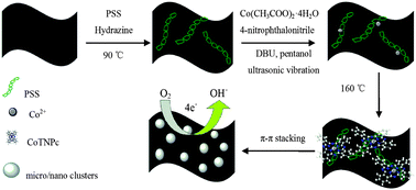 Graphical abstract: A novel cobalt tetranitrophthalocyanine/graphene composite assembled by an in situ solvothermal synthesis method as a highly efficient electrocatalyst for the oxygen reduction reaction in alkaline medium