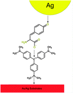 Graphical abstract: Probing the effect of charge transfer enhancement in off resonance mode SERS via conjugation of the probe dye between silver nanoparticles and metal substrates