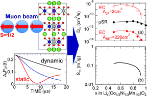 Graphical abstract: Reactive surface area of the Lix(Co1/3Ni1/3Mn1/3)O2 electrode determined by μ+SR and electrochemical measurements