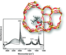 Graphical abstract: The interactions of methyl tert-butyl ether on high silica zeolites: a combined experimental and computational study