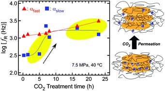 Graphical abstract: Dielectric relaxations and conduction mechanisms in polyether–clay composite polymer electrolytes under high carbon dioxide pressure