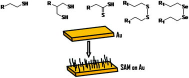 Graphical abstract: Self-assembly mechanism of thiol, dithiol, dithiocarboxylic acid, disulfide and diselenide on gold: an electrochemical impedance study