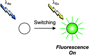 Graphical abstract: Photoactivatable synthetic fluorophores