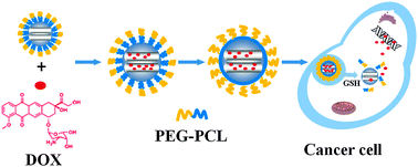 Graphical abstract: A reduction-sensitive carrier system using mesoporous silica nanospheres with biodegradable polyester as caps