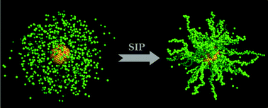 Graphical abstract: Polymer-grafted nanoparticles prepared by surface-initiated polymerization: the characterization of polymer chain conformation, grafting density and polydispersity correlated to the grafting surface curvature