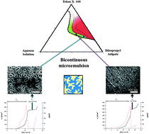 Graphical abstract: Conductive microemulsions for template CoNi electrodeposition