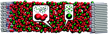 Graphical abstract: Computer simulations of ionic liquids at electrochemical interfaces