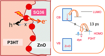 Graphical abstract: Huge suppression of charge recombination in P3HT–ZnO organic–inorganic hybrid solar cells by locating dyes at the ZnO/P3HT interfaces