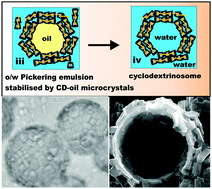 Graphical abstract: Cyclodextrin stabilised emulsions and cyclodextrinosomes