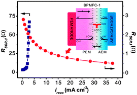 Graphical abstract: Evaluating the interfacial reaction kinetics of the bipolar membrane interface in the bipolar membrane fuel cell