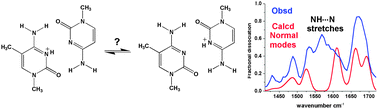 Graphical abstract: Proton-bound dimers of 1-methylcytosine and its derivatives: vibrational and NMR spectroscopy