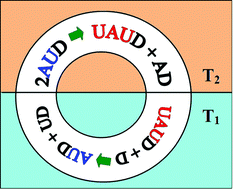 Graphical abstract: RNA triplex-to-duplex and duplex-to-triplex conversion induced by coralyne