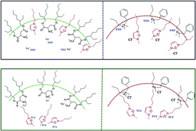 Graphical abstract: Electron donor ionic liquids entrapped in anionic and cationic reverse micelles. Effects of the interface on the ionic liquid–surfactant interactions