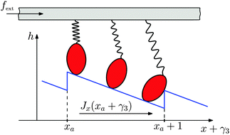 Graphical abstract: Mesoscopic non-equilibrium thermodynamic analysis of molecular motors