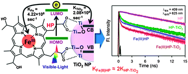 Graphical abstract: Role of central metal ions in hematoporphyrin-functionalized titania in solar energy conversion dynamics