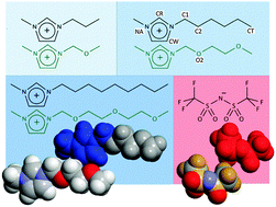 Graphical abstract: Nano-segregation in ionic liquids: scorpions and vanishing chains