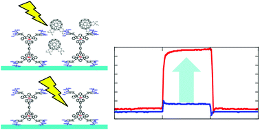 Graphical abstract: Photoresponse enhancement by mixing of an alcohol-soluble C60 derivative into a ruthenium complex monolayer