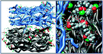 Graphical abstract: Interaction of collagen with chlorosulphonated paraffin tanning agents: Fourier transform infrared spectroscopic analysis and molecular dynamics simulations