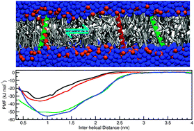 Graphical abstract: Sequence dependent lipid-mediated effects modulate the dimerization of ErbB2 and its associative mutants