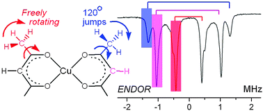 Graphical abstract: An ENDOR and DFT analysis of hindered methyl group rotations in frozen solutions of bis(acetylacetonato)-copper(ii)