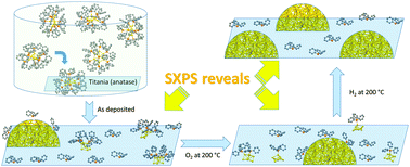 Graphical abstract: Chemically synthesised atomically precise gold clusters deposited and activated on titania. Part II