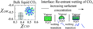 Graphical abstract: A liquid CO2-compatible hydrocarbon surfactant: experiment and modelling